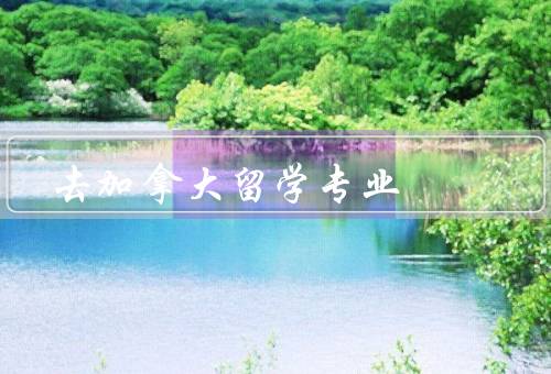 去加拿大留学专业（专业选择／教育质量／留学生支持）