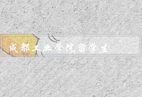 成都工业学院留学生，人数／支持／成就