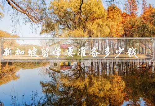 去新加坡留学要准备多少钱（留学费用、签证费用、其他费用）