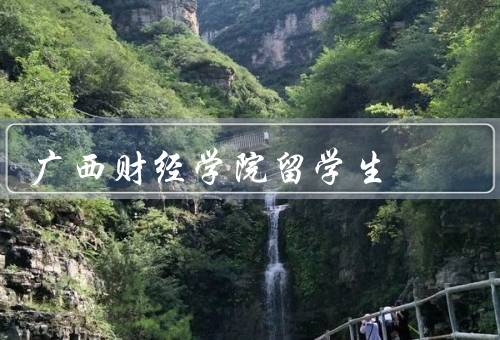 广西财经学院留学生（背景多样化、在学术方面的表现）