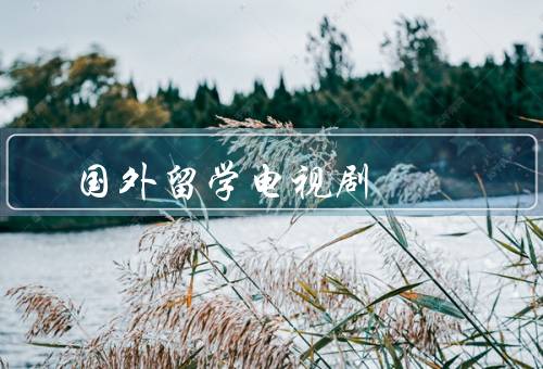国外留学电视剧（留学生活的真实性、文化碰撞、情感故事）