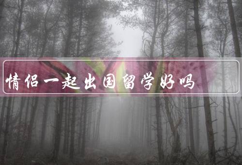 情侣一起出国留学好吗（增进感情、互相支持、共同经历新的文化）