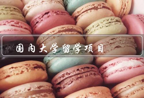 国内大学留学项目（类型、优势、挑战）