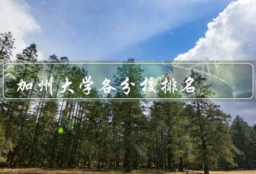 加州大学各分校排名（伯克利分校／加州大学洛杉矶分校）
