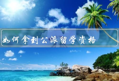 如何拿到公派留学资格（了解公派留学政策、选择合适的留学项目）
