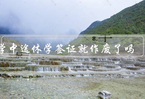 留学中途休学签证就作废了吗，是否会导致签证作废／影响／建议