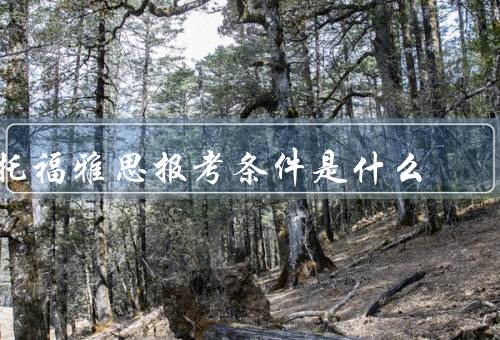 托福雅思报考条件是什么（考试年龄限制、学历要求、报名费用）