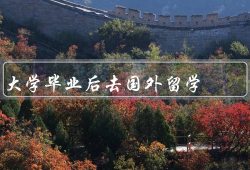 大学毕业后去国外留学，提升学术能力、增加国际化视野