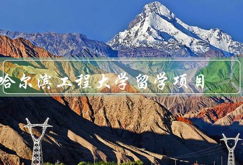 哈尔滨工程大学留学项目（留学项目种类多样、优质的师资力量）