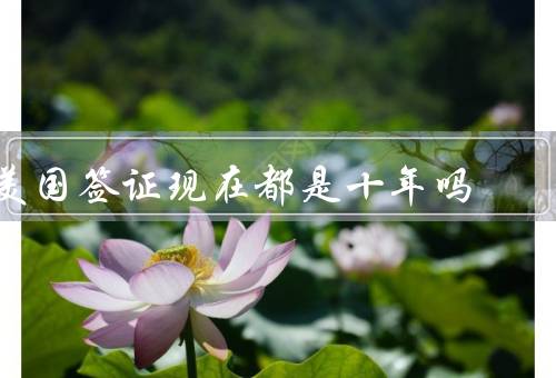美国签证现在都是十年吗，定义／申请条件／好处