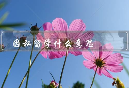 因私留学什么意思，目的／好处／挑战