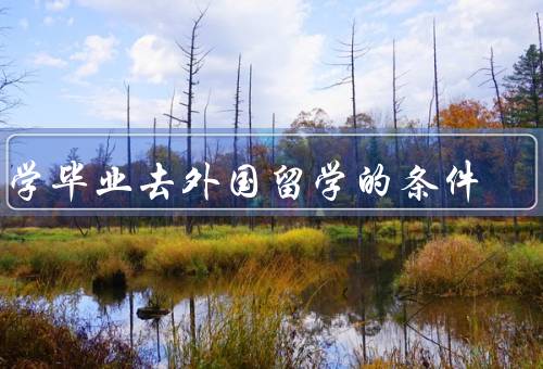 大学毕业去外国留学的条件（学术成绩／语言能力／经济条件）