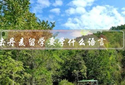 去丹麦留学要学什么语言，丹麦语的重要性／学习丹麦语的方法