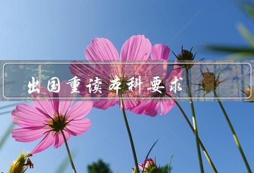 出国重读本科要求（语言能力／学历认证／申请材料）