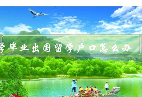 大学毕业出国留学户口怎么办（材料准备、流程、注意事项）