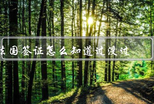 法国签证怎么知道过没过（在线查询、等待通知、咨询签证中心）