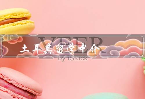 土耳其留学中介