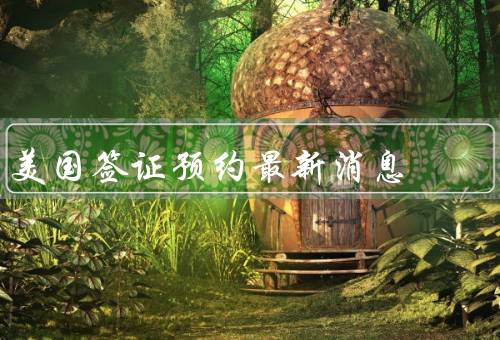 美国签证预约最新消息（新的预约系统、材料准备与审核、注意事项）