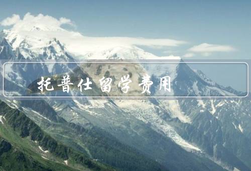 托普仕留学费用（组成、预算、支付）