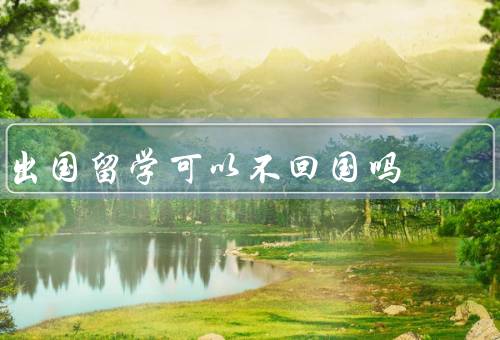 出国留学可以不回国吗（留学经历的积累／就业机会的考量）