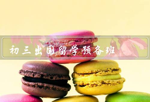 初三出国留学预备班（适应海外学习环境、了解海外文化背景）