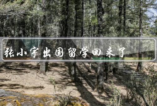 张小宇出国留学回来了