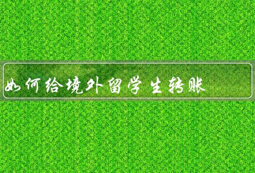 如何给境外留学生转账（选择合适的转账方式、了解相关费用和汇率）
