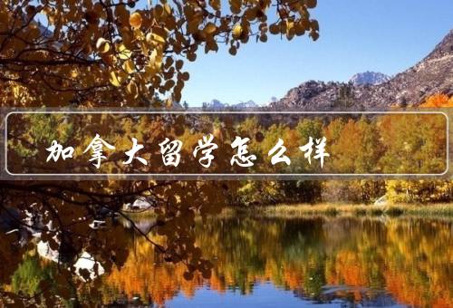 加拿大留学怎么样