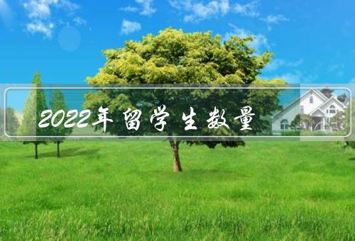 2022年留学生数量，留学政策的变化／教育资源的吸引力