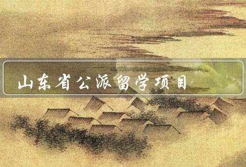 山东省公派留学项目（背景、意义、成果）