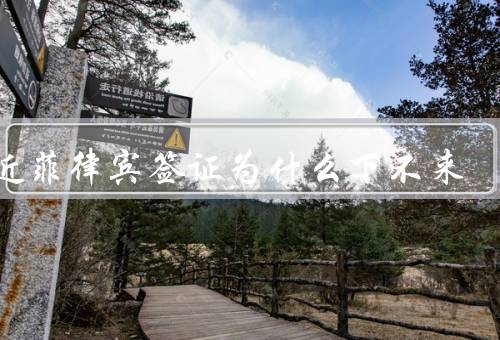 最近菲律宾签证为什么下不来（申请材料不完整、申请递交时间过晚）