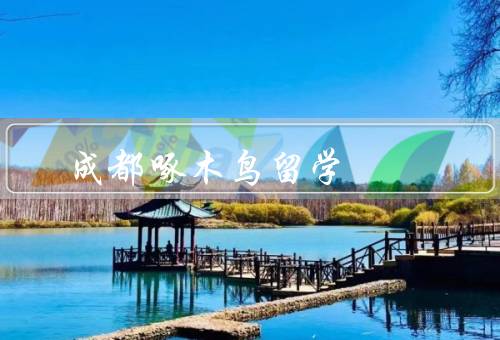 成都啄木鸟留学