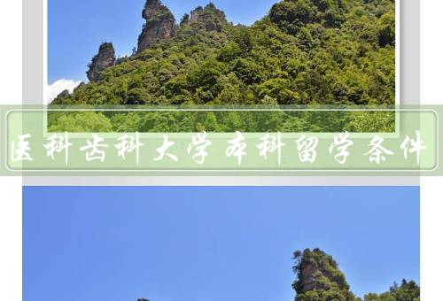 东京医科齿科大学本科留学条件，学术要求／语言要求／申请材料