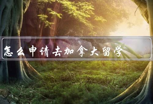 怎么申请去加拿大留学