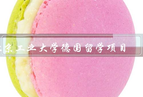 北京工业大学德国留学项目
