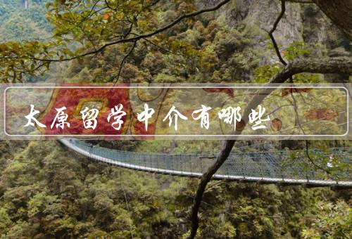 太原留学中介有哪些（专业服务、个性化定制、优质服务）