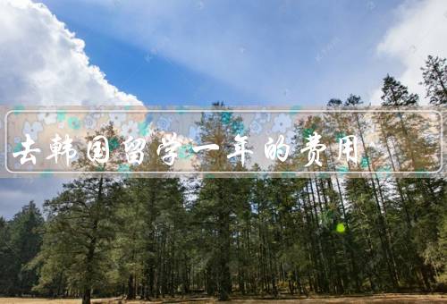 去韩国留学一年的费用，学费、生活费、其他费用