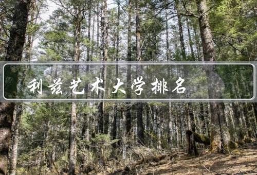 利兹艺术大学排名（整体排名／在专业排名中表现／国际影响力）