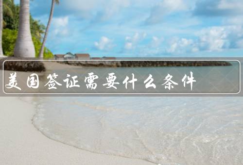 美国签证需要什么条件（申请表、有效护照、面试）
