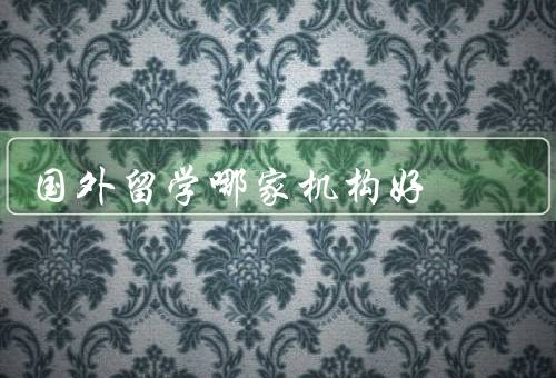 国外留学哪家机构好（新东方留学／出国留学网／留学宝）