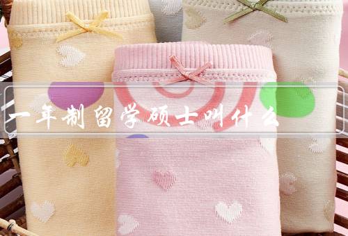 一年制留学硕士叫什么