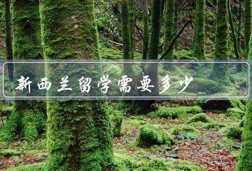 新西兰留学需要多少，留学费用、奖学金机会、签证费及其他花费