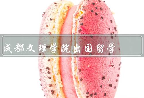 成都文理学院出国留学（出国项目、准备与指导、成果与收获）