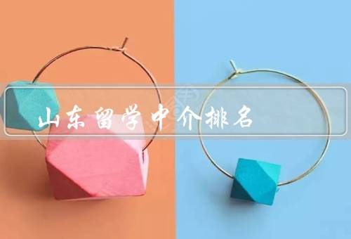 山东留学中介排名