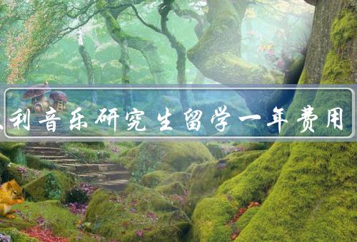意大利音乐研究生留学一年费用（留学费用、奖学金和助学金）