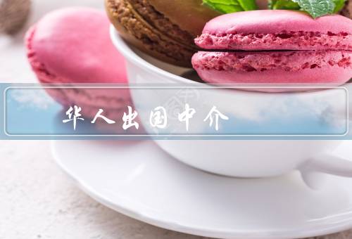 华人出国移民中介，专业的咨询和指导／便利和保障