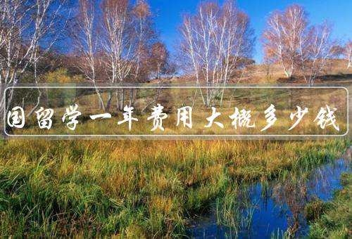 出英国留学一年费用大概多少钱，学费／生活费／其他费用