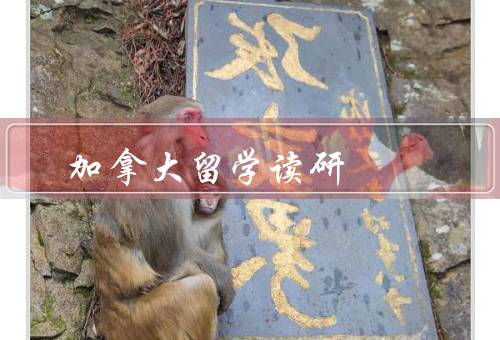 加拿大留学读研，申请流程、优质教育资源、多元文化体验