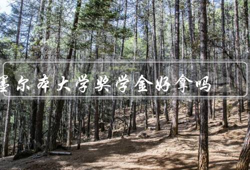 墨尔本大学奖学金好拿吗（奖学金种类多样、申请条件相对较高）