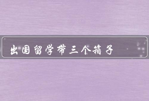 出国留学带三个箱子，重要文件和证件／学习和生活用品